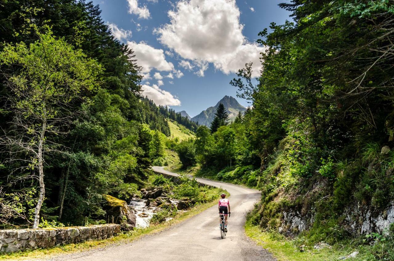 Pyrenees Cycling Lodge Saint-Savin (Hautes-Pyrenees) Ngoại thất bức ảnh